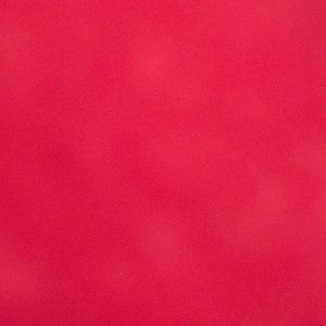 Meet your Posher, Faith